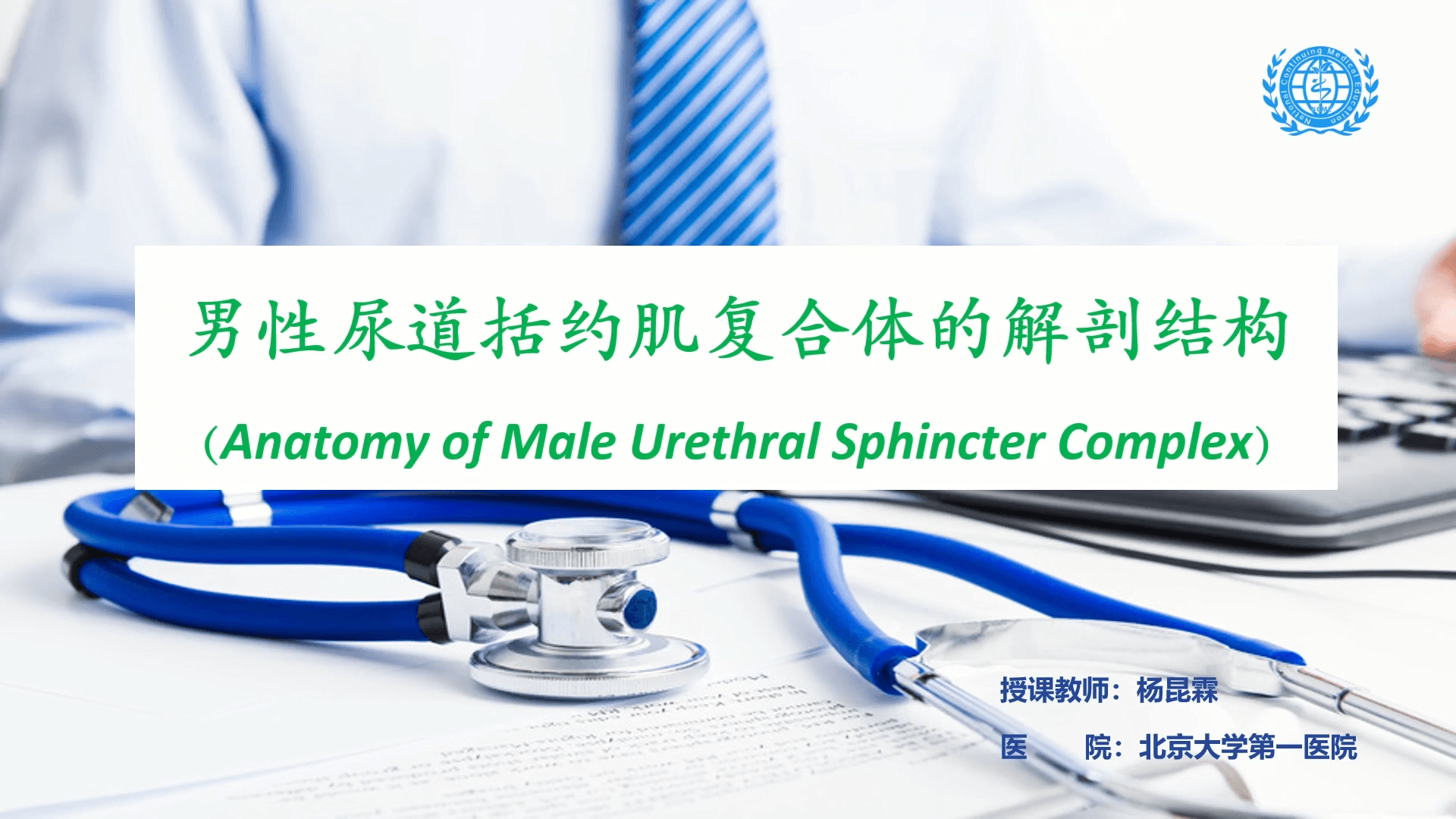 男性尿道括约肌复合体的解剖结构-杨昆霖