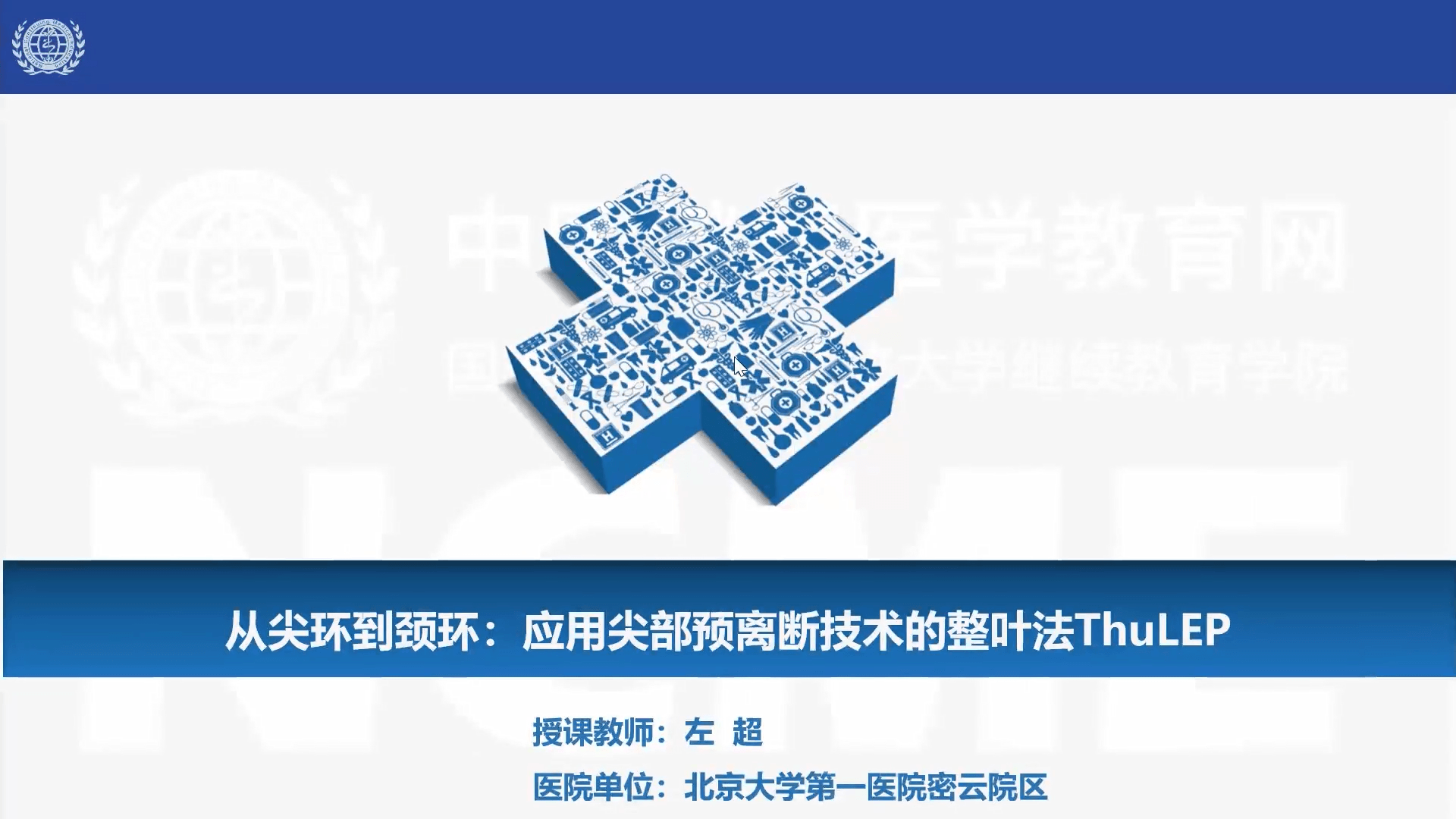从尖环到颈环：应用尖部预离断技术的整叶法ThuLEP-左超